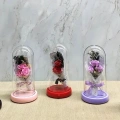 Işıklı Müzikli Romantik Gül Buketi  Alk4999
