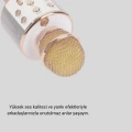 Karaoke Mikrofonu Bluetooth USB AUX Girişli Yankı Efektli