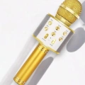 KAREOKE  MIKROFON