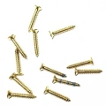 Klips, Menteşe, Ayak, Ağaç, Sunta Vidası 2,2x13 Mm - Sarı 1000 Adet