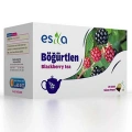 HERŞEYTREND Böğürtlen Çayı 20 Li.