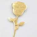 HERŞEYTREND Çelik Gül Broş - Altın