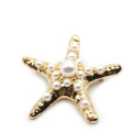 HERŞEYTREND Deniz Yıldızı Broş - Altın
