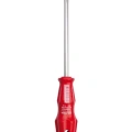 HERŞEYTREND Düz Tekli Tornavida 6x100 Royaleks-CK-4312