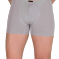 HERŞEYTREND Erkek Modal Boxer Short Gri 4488B
