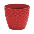 HERŞEYTREND Kapadokya Saksı 1 No 0,5 Lt. Royaleks-KAP1