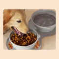 HERŞEYTREND Mikopet Katlanabilir İkili Mama ve Su Kabı