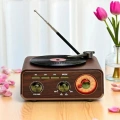 Nostaljik Tasarım Plak Çalar Görünümlü Radyolu Bluetooth Hoparlör Retro Müzik Plak