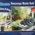 Pencere Yatağı