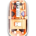 PG-9010 MOUSE FARE