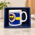 Taraftar Kupa Fenerbahçe