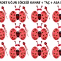 Uğur Böceği Kostüm Seti - Kanat Taç Asa 3 Parça 12 Adet