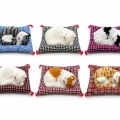 Yastıkta Uyuyan Kedi Sesli Alk25
