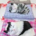 Yastıkta Uyuyan Kedi Sesli Alk25