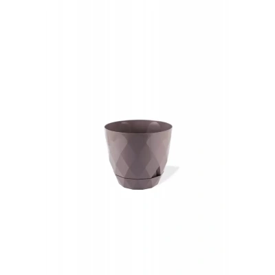 HERŞEYTREND 2 No Yakamoz Saksı 1 Adet Royaleks-KRS-452