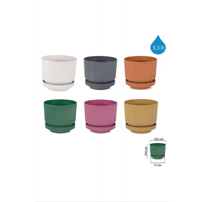 HERŞEYTREND 3No Saksı 3.3Lt 1 Adet Royaleks-S282