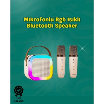 İki Mikrofonlu Renkli LED Işıklı Karaoke Cihazı