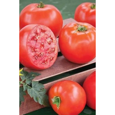 HERŞEYTREND Domates Tohumu H.2274 5 Gr