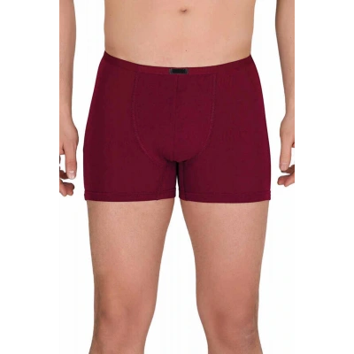 HERŞEYTREND Erkek Modal Boxer Short Bordo 4488B