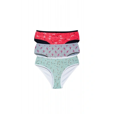 HERŞEYTREND Pamuklu Geniş Kenarlı Likralı Desenli Bato Kadın Külot 3lü Paket Set1