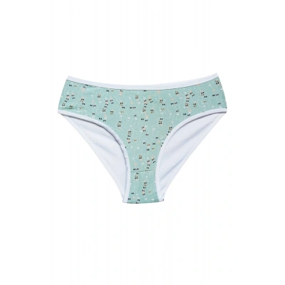 HERŞEYTREND Pamuklu Geniş Kenarlı Likralı Desenli Bato Kadın Külot Desen 3