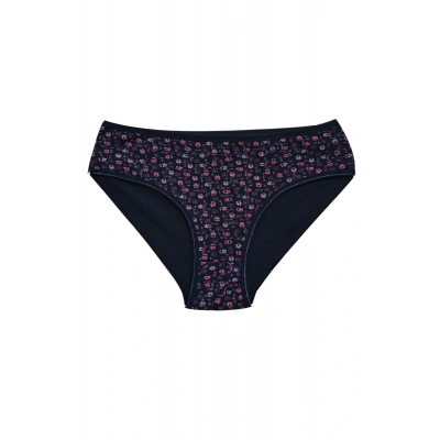 HERŞEYTREND Pamuklu Geniş Kenarlı Likralı Desenli Bato Kadın Külot Desen 4