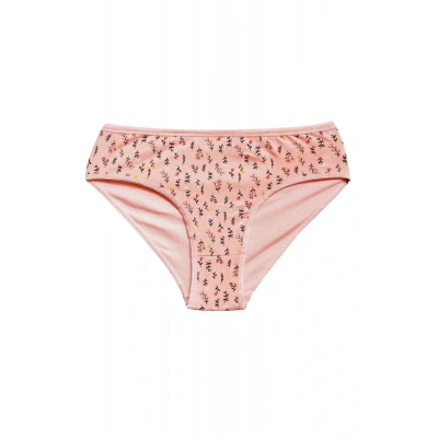 HERŞEYTREND Pamuklu Geniş Kenarlı Likralı Desenli Bato Kadın Külot Desen 9