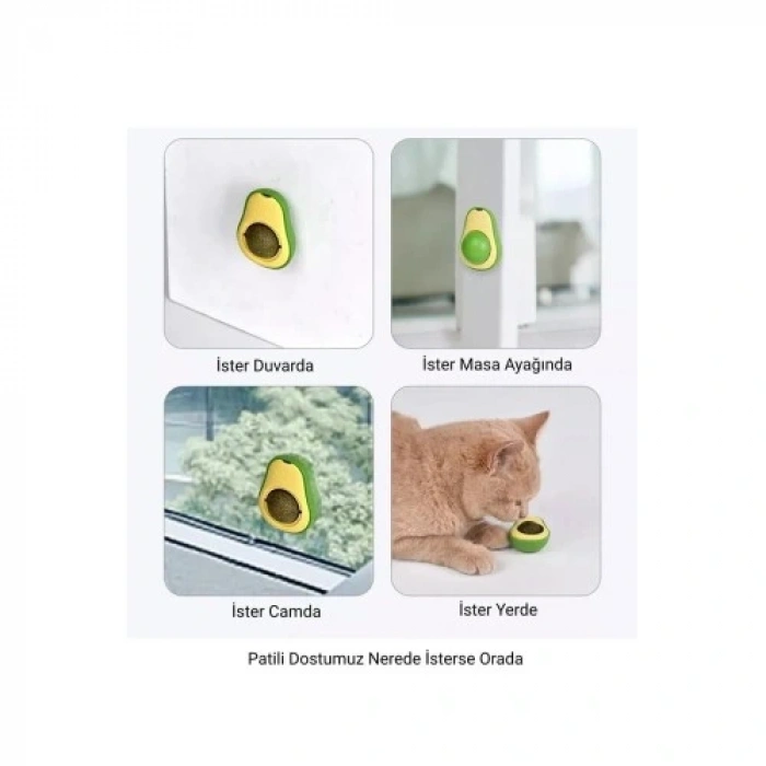 HERŞEYTREND Avokado Kedi Nanesi Cat Mint Oyun Topu
