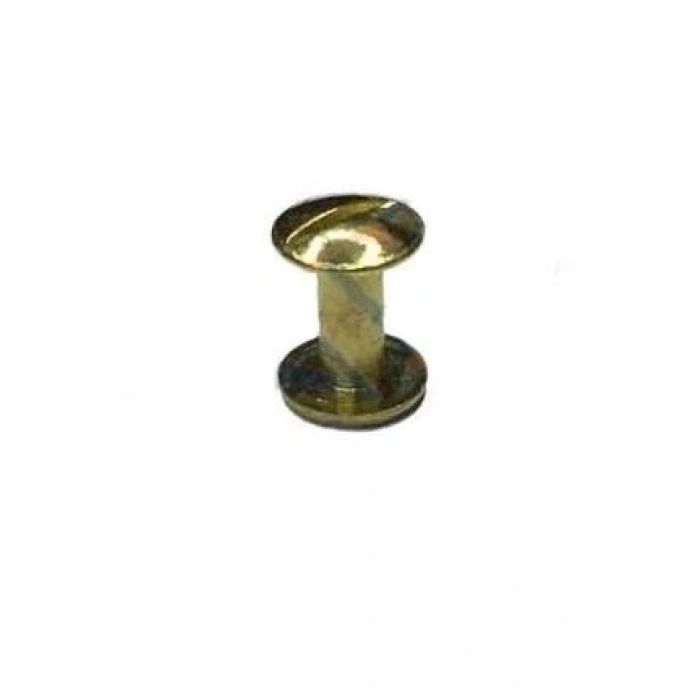 Cilt Menü, Katalog, Kartela Vidası, 6 Mm - Nikel, 1 Adet