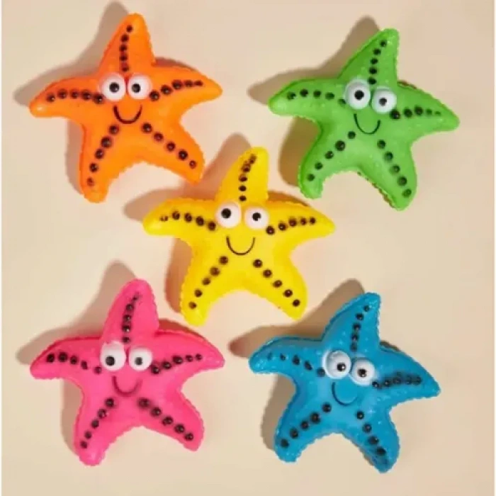 HERŞEYTREND Denizyıldızı Figürlü Köpek Çiğneme Oyuncağı