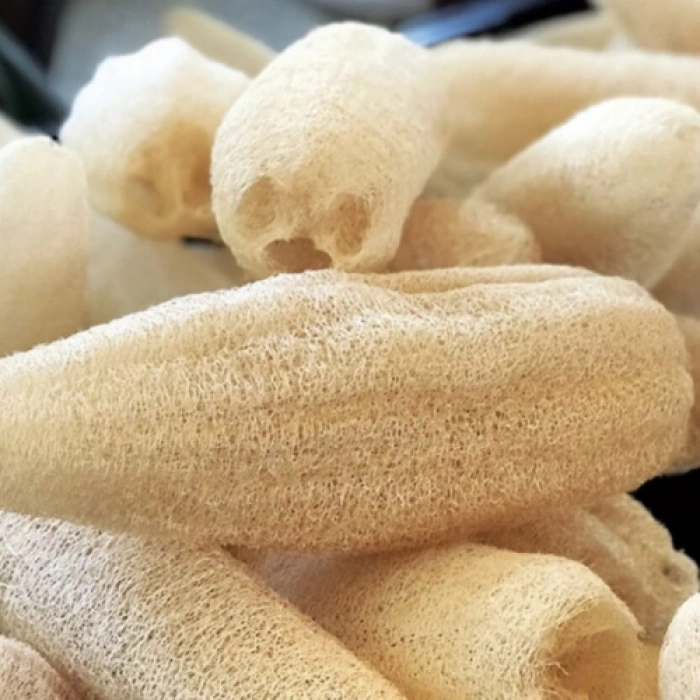 HERŞEYTREND Doğal Kabak Lifi