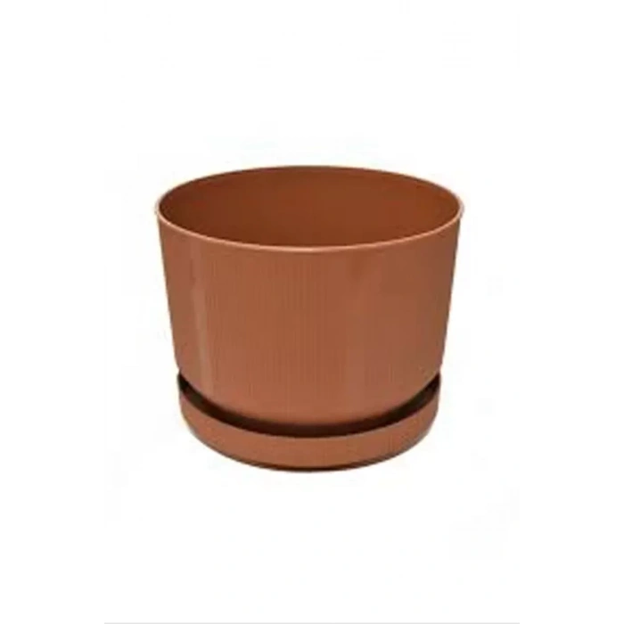 HERŞEYTREND 3No Saksı 6Lt Royaleks-S283