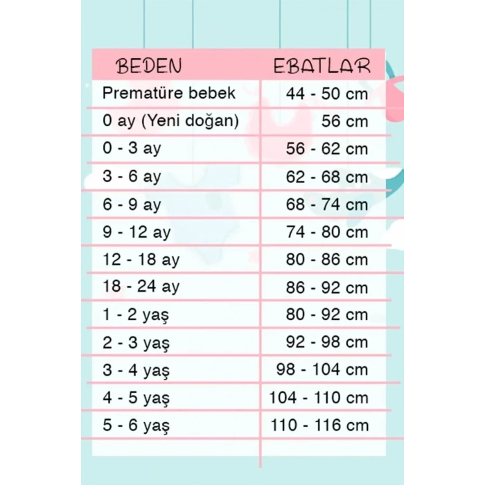 HERŞEYTREND Erkek Bebek Desenli 2li Pantolon 3/12 Ay