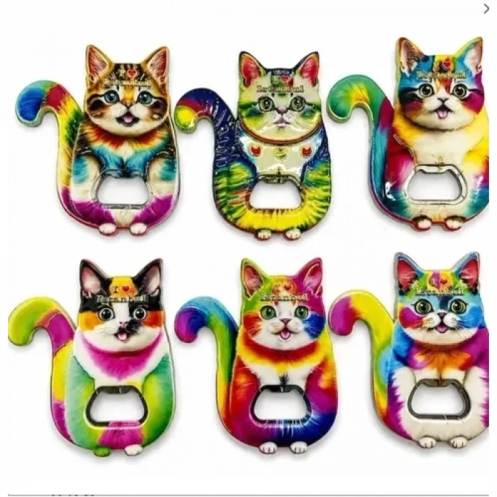 HERŞEYTREND Kedi Tasarımı İstanbul Temalı Buzdolapı Süsü Magnet