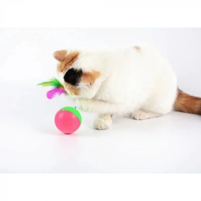 HERŞEYTREND Kedi Fare Hacıyatmaz Oyunu