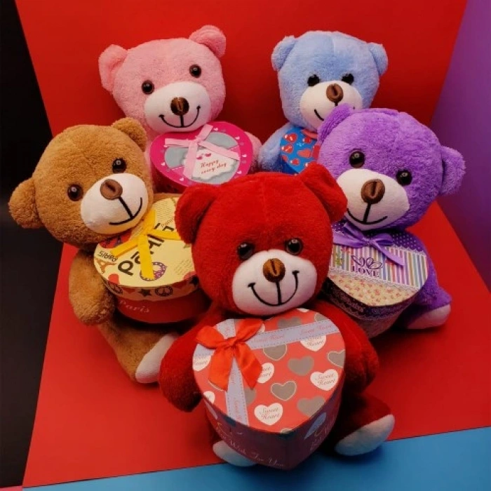 HERŞEYTREND Kutulu Peluş Ayıcık