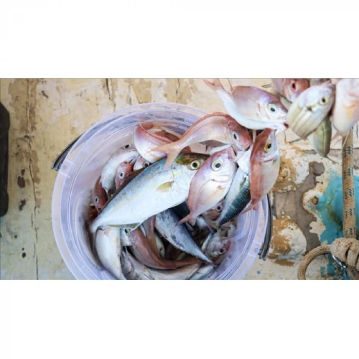 Litae Trend 300 Metre Polietilen Microfiber Profesyonel İp Misina