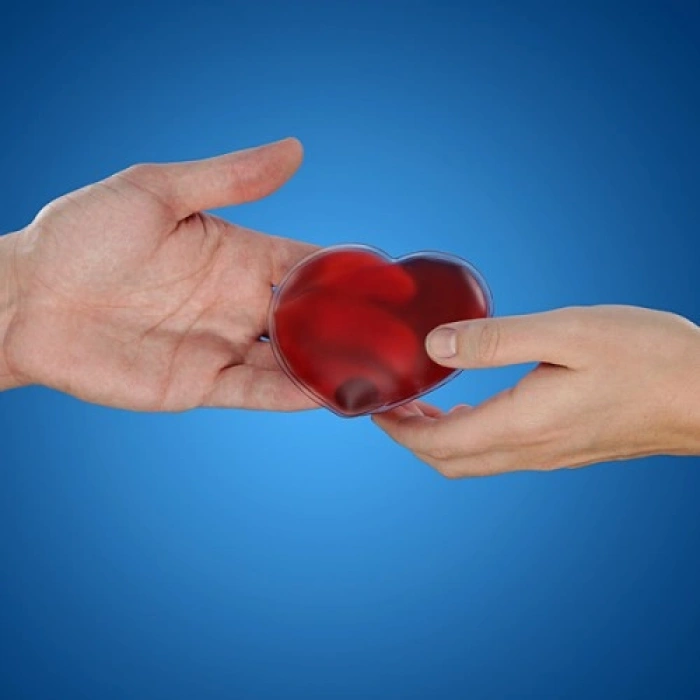 HERŞEYTREND Kalp Şeklinde Sihirli Jel El Isıtıcı