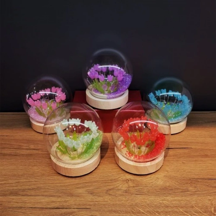 Litae Trend  Led Işıklı Lale Cam Fanus