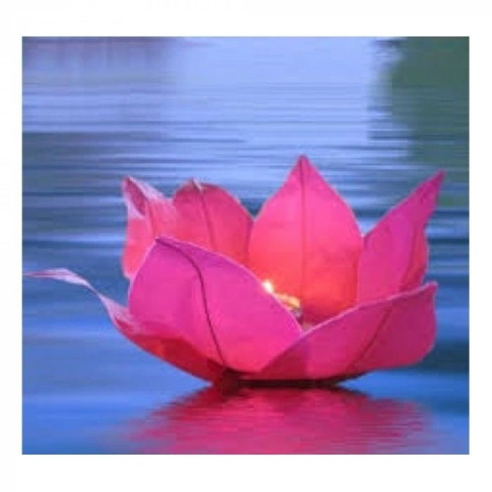 Litae Trend Nilüfer Çiçeği Su Feneri