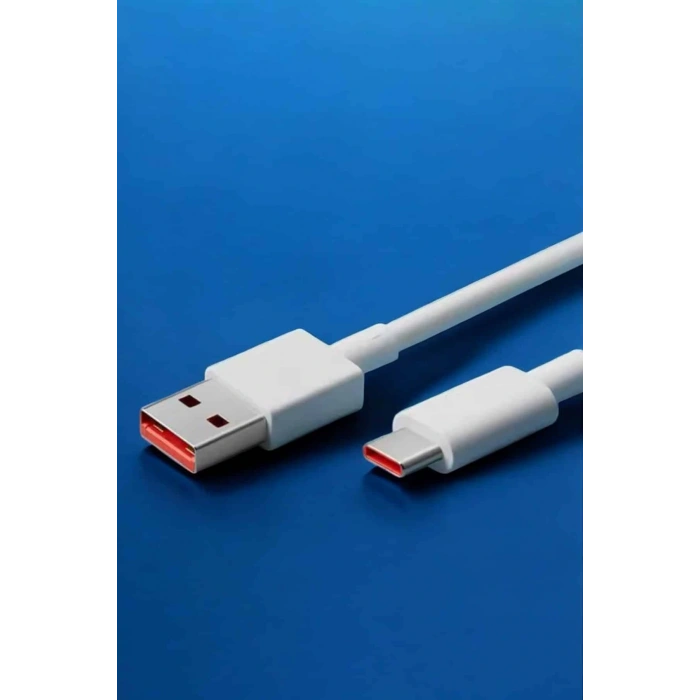 LitaeTrend 120W Şarj Aleti Type-C Uyumlu Turbo Şarj Aleti