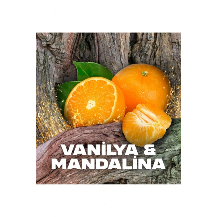 LitaeTrend 2 Adet Axe Africa Erkek Deodorant Sprey 150 ml