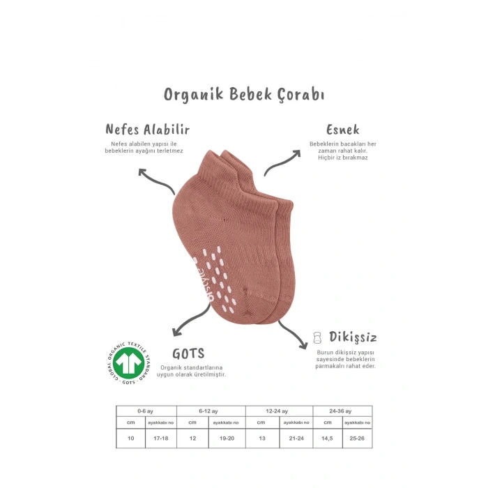 LitaeTrend 2li Sneakers Kaymaz Colours Penye Çorap Bs20104 Ekru Pudra