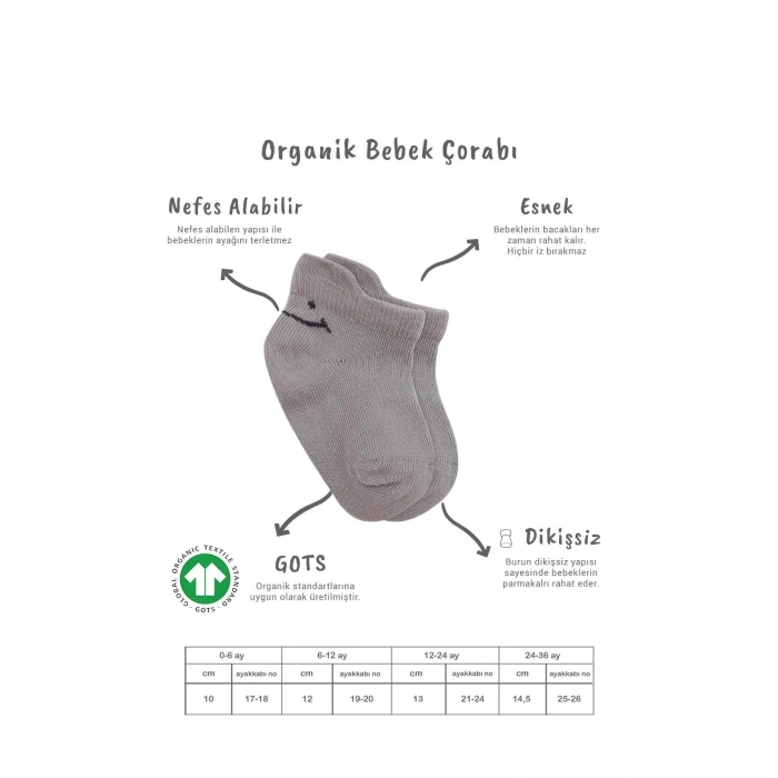 LitaeTrend 2li Sneakers Smile Penye Çorap Bs20106 Gri Ekru