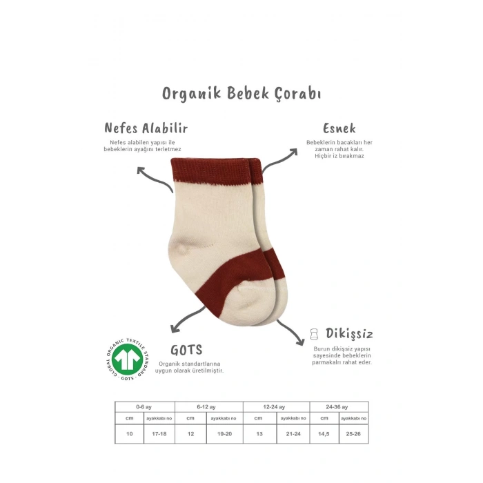 LitaeTrend 3lü Penye Rainbow Soket Çorap Bs10113 Kiremit