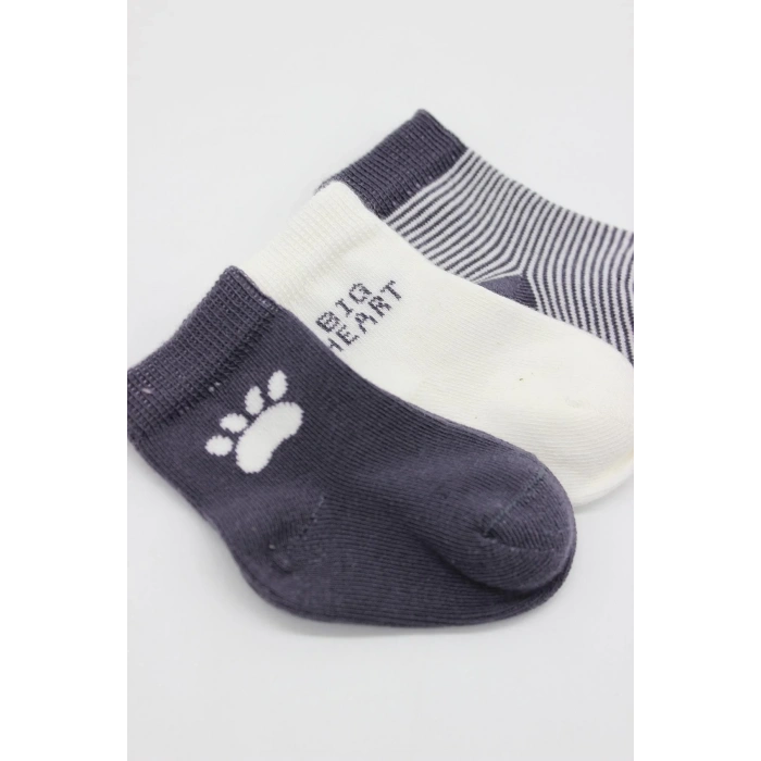 LitaeTrend 3lü Penye Soket Çorap Bs10110 Antrasit