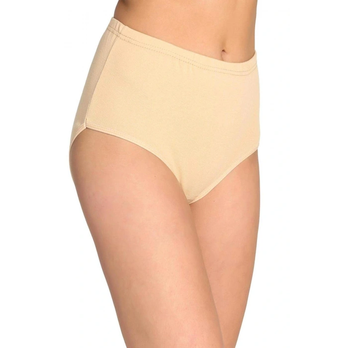 LitaeTrend 4 Adet Tutku Kadın Yüksek Bel Bato Kalın Lastik Külot S5