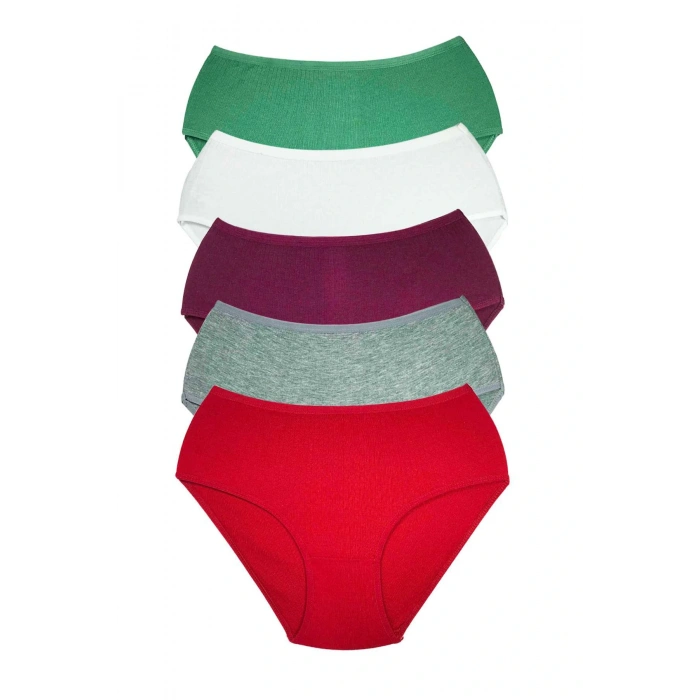 LitaeTrend 5 Adet Kadın Yüksek Bel Ribana Bato Külot S044
