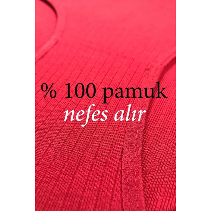 LitaeTrend 5 Adet Kadın Yüksek Bel Ribana Bato Külot S045