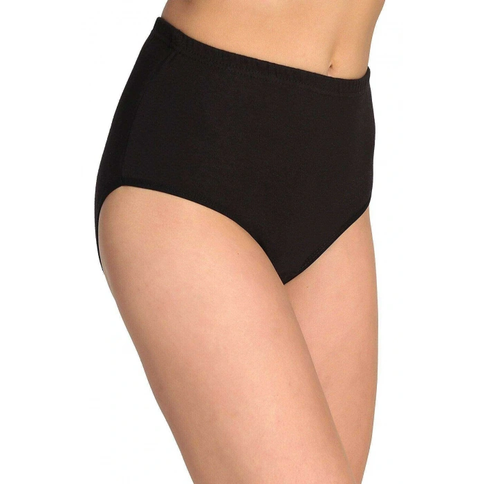 LitaeTrend 6 Adet Tutku Kadın Yüksek Bel Bato Kalın Lastik Külot S14